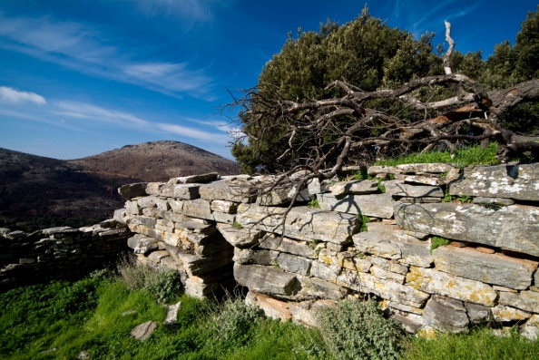 Δρακόσπιτα Στύρα Ευβοίας