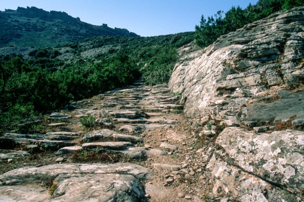 Άρχαίο λατομείο Στύρα